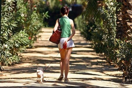 Voimistelu laiskoille